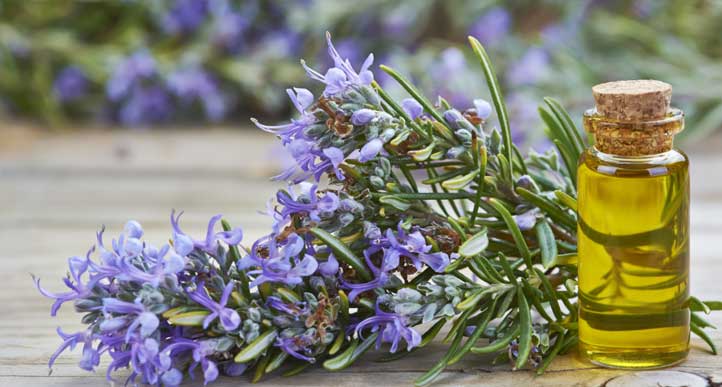 Rosemary Oil vs Minoxidil