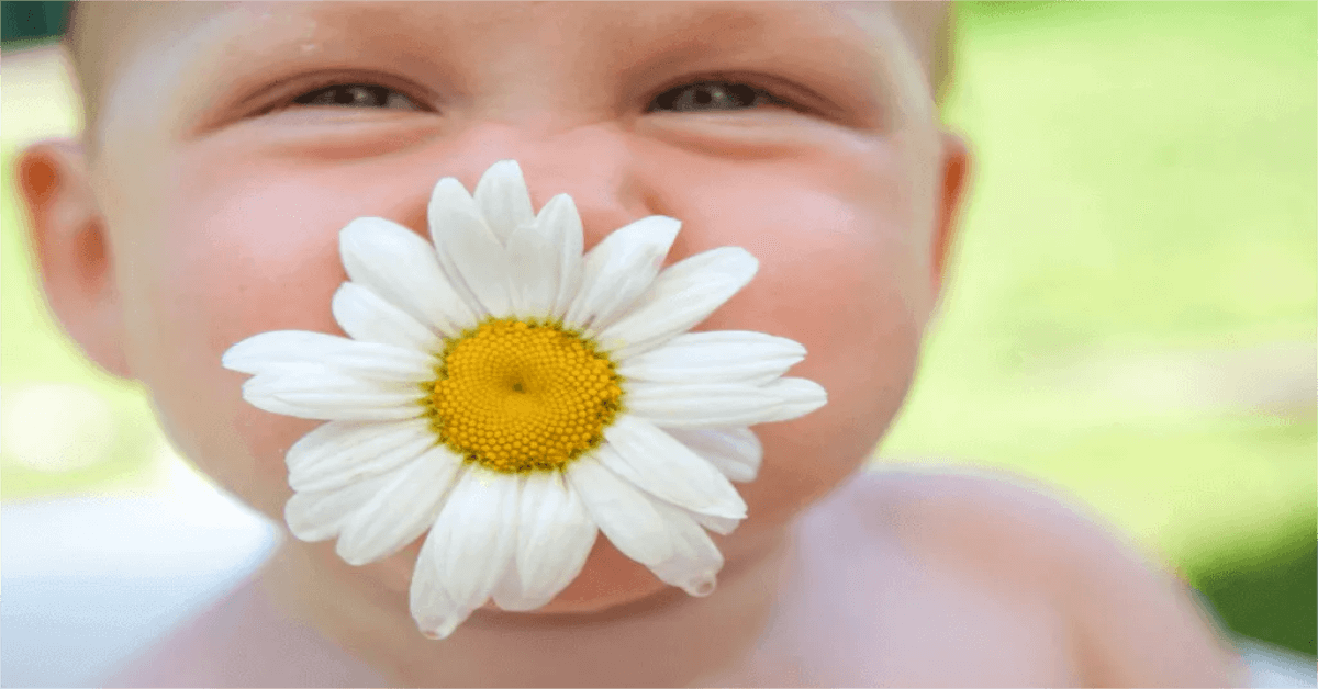 chamomile safe for baby skin