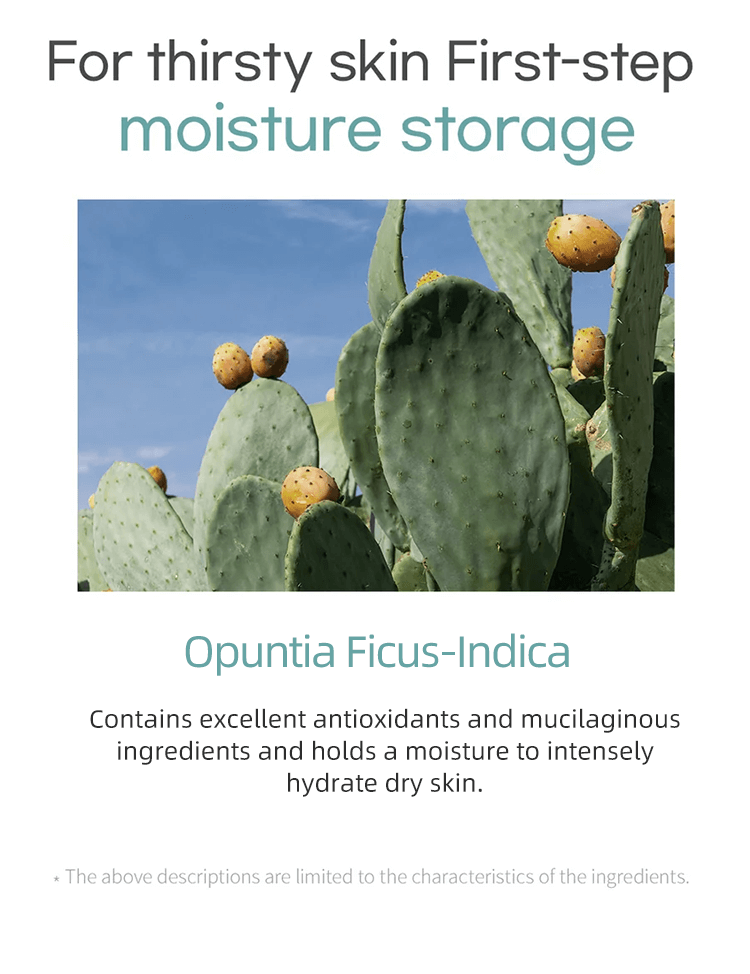 Moisturizer Face Cream