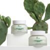 Cactus Fruit 24h Hydrating Face Cream