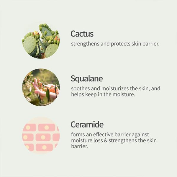 24H Hydrating Face Lotion