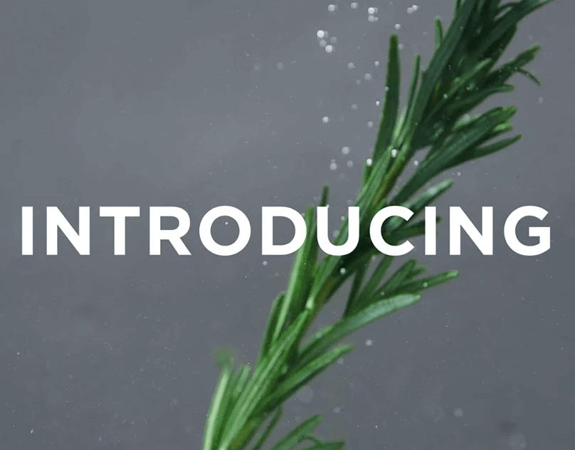 Rosemary Essential Oil