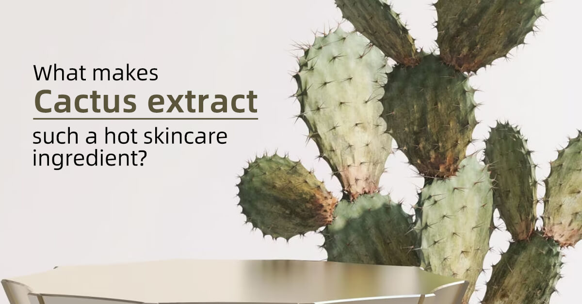 cactus extract skincare