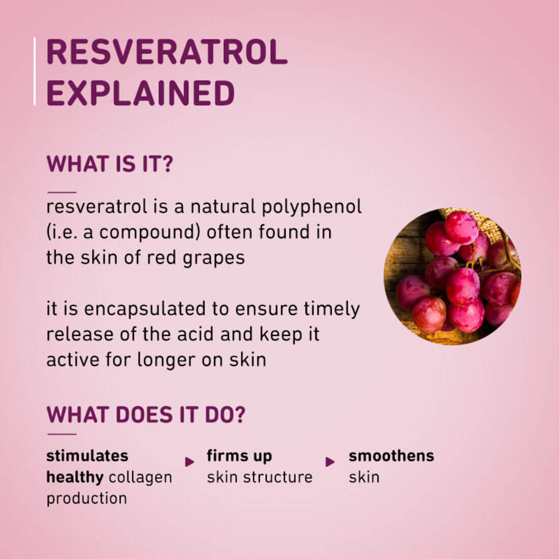 private label 1% resveratrol & vitamin c whitening anti aging moisturizer cream