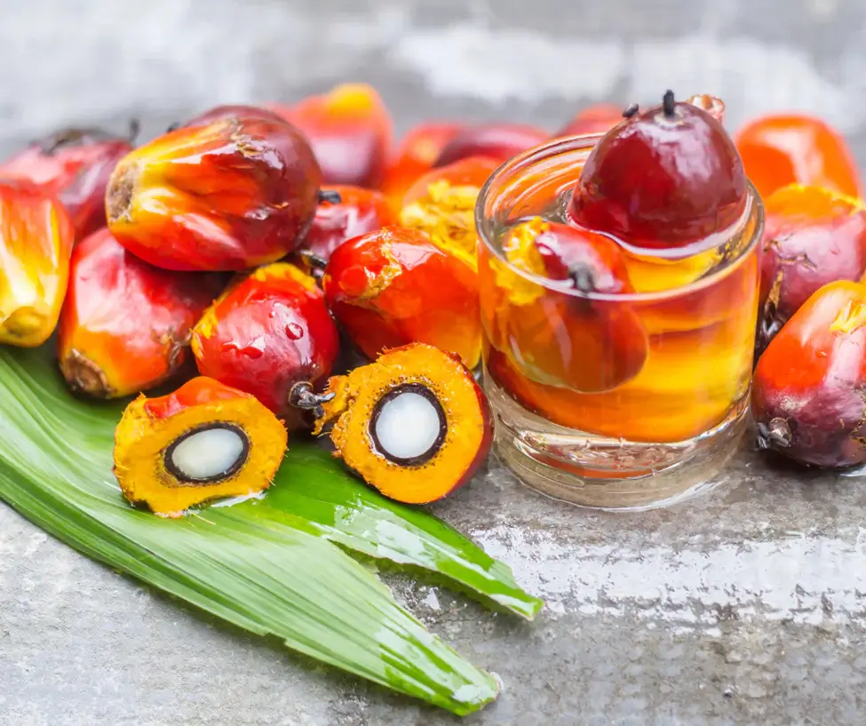 batana oil