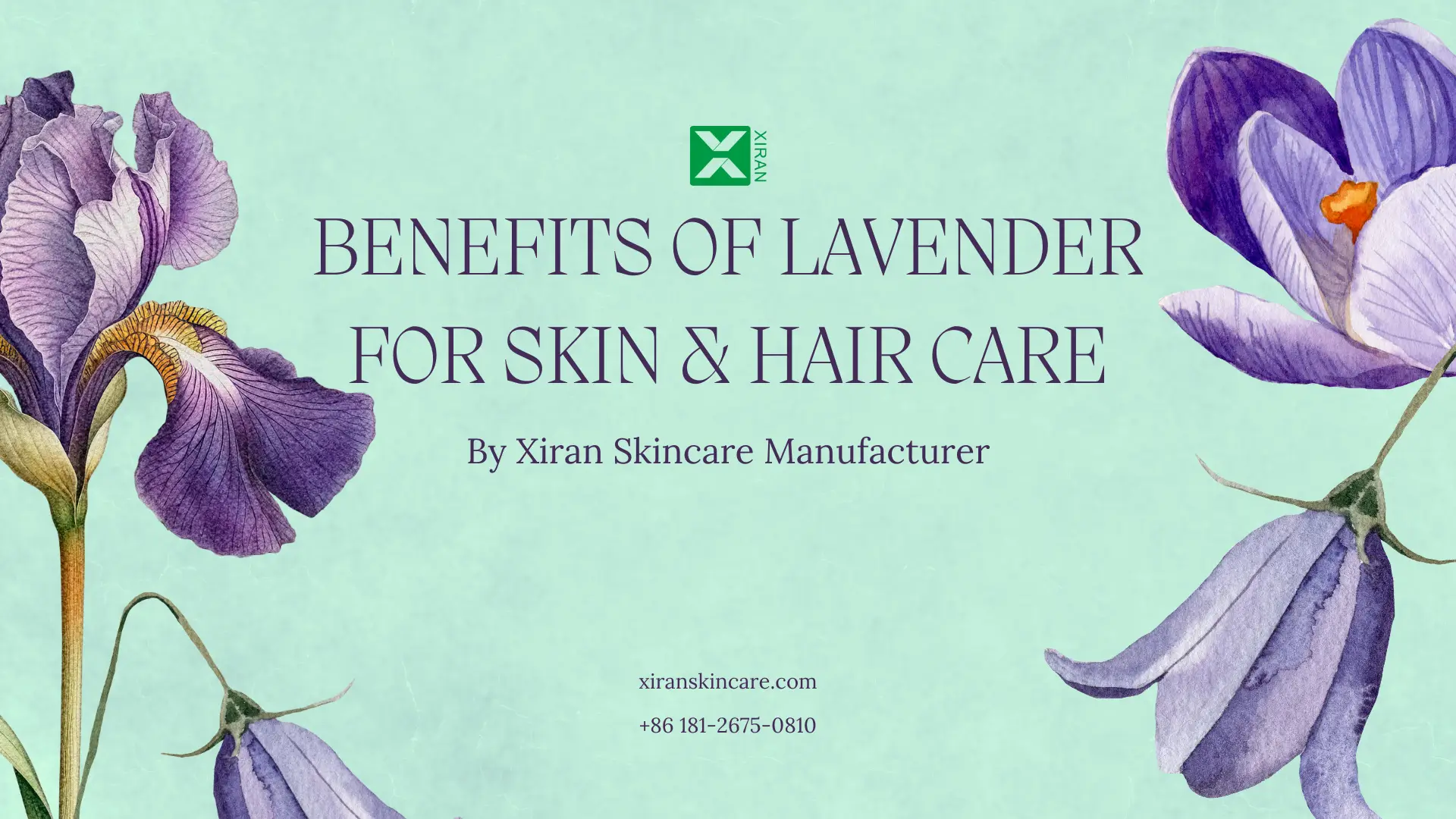 benefits of lavender for skin & hair care