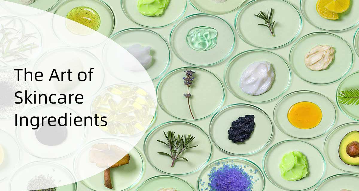 the art of skincare ingredients