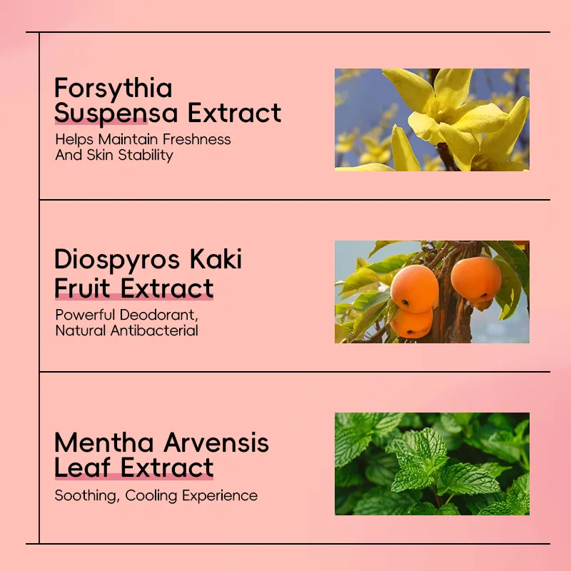 An image showcasing Forsythia Suspensa Extract, Diospyros Kaki Fruit Extract, and Mentha Arvensis Leaf Extract with their respective benefits described.