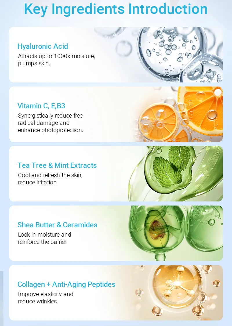 Image showing introduction of key skincare ingredients including Hyaluronic Acid, Vitamins C, E, B3, Tea Tree and Mint Extracts, Shea Butter and Ceramides, Collagen and Anti-Aging Peptides.
