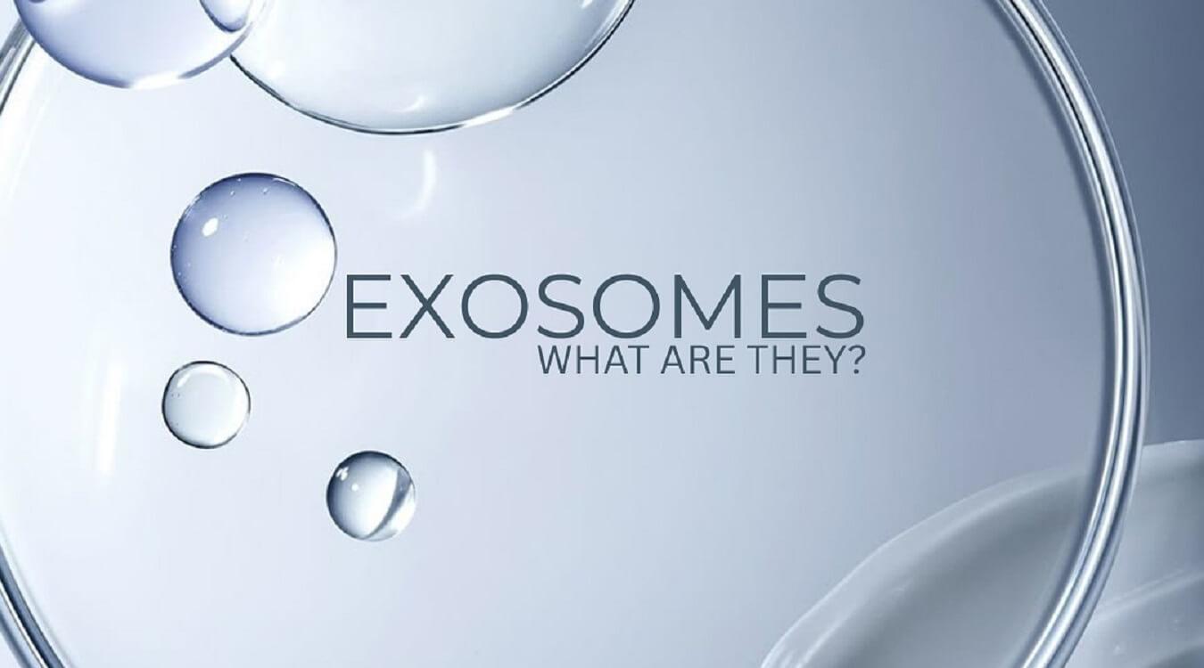 what are the exosomes