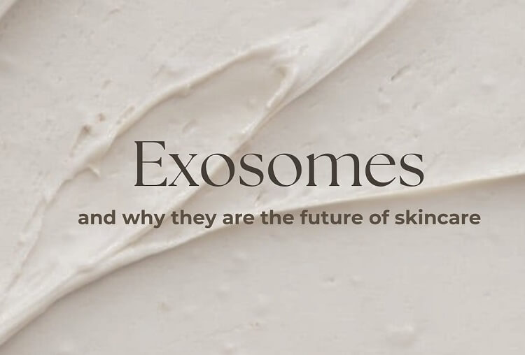 plant exosomes