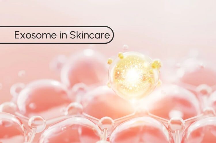 exosomes skin care