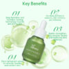 private label revision hydrating serum