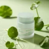 Botanical spot soothing gel in a white jar surrounded by green leaves on a light green surface, highlighting its natural ingredients.