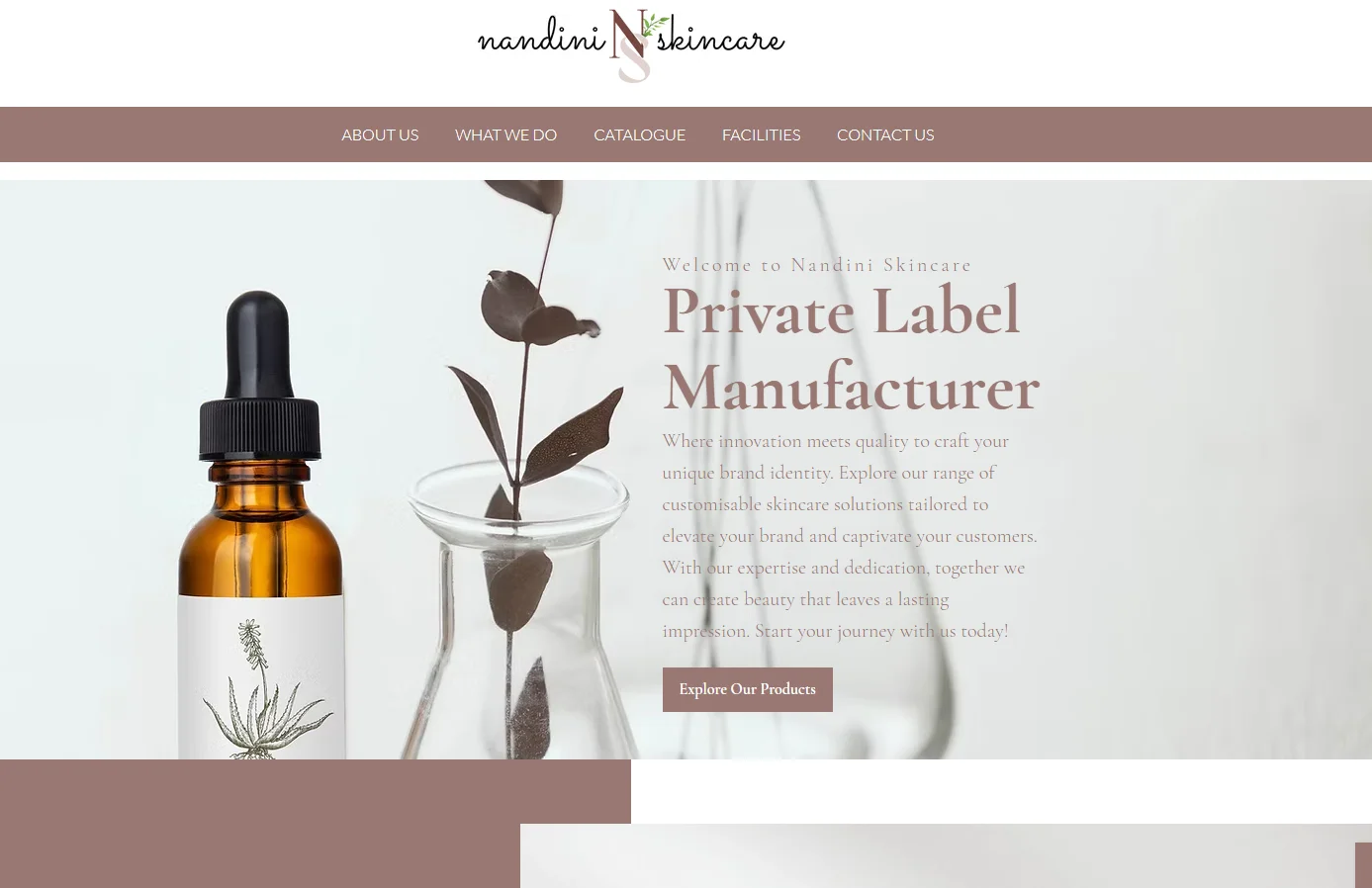 Nandini Skincare website banner featuring a dropper bottle and text about private label manufacturing.