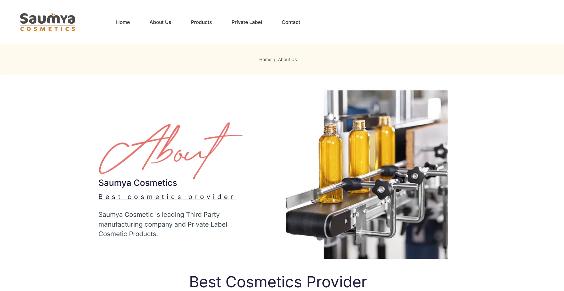 Top 10 Best Personal Care Manufacturers in india