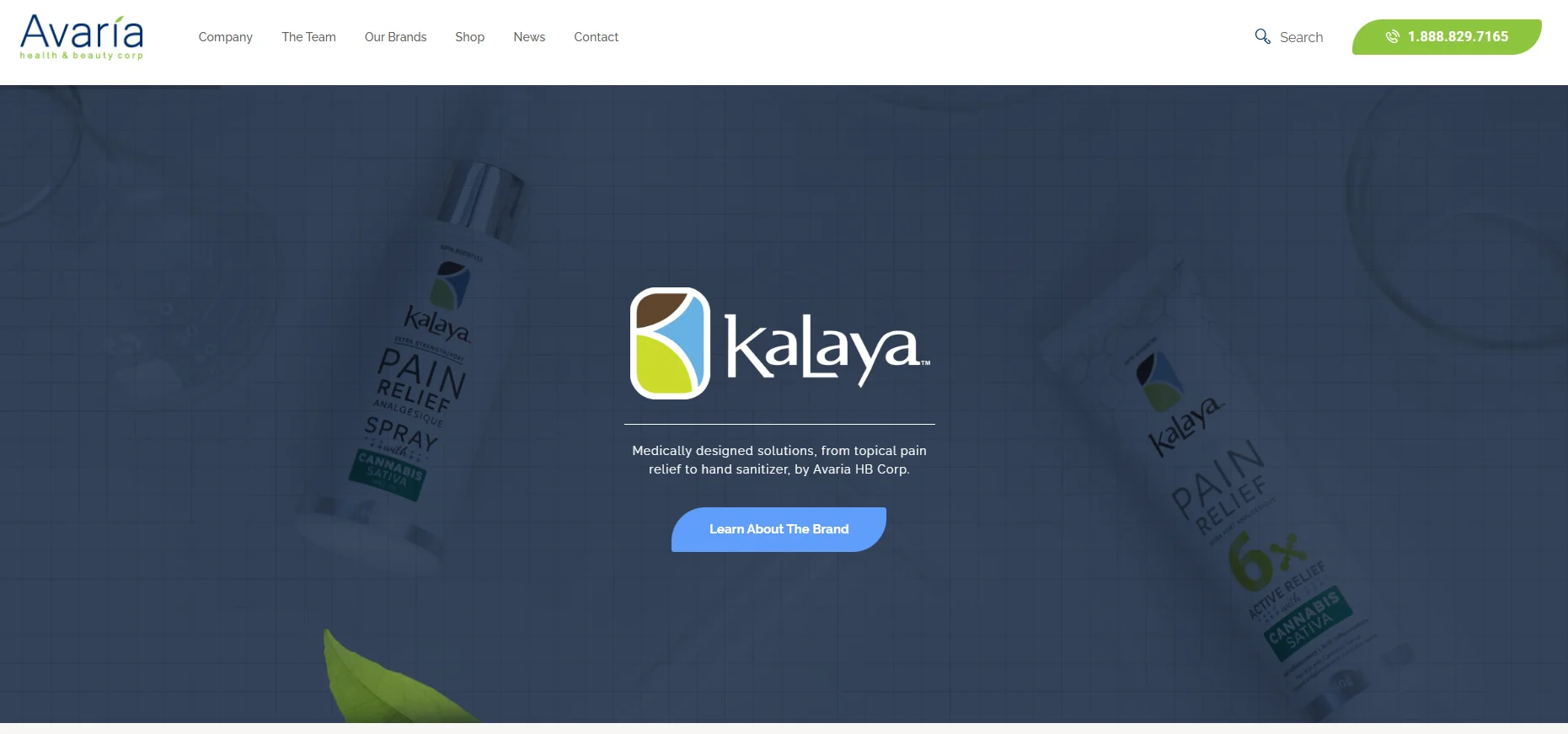 XIRAN Microbiome Balance Purifying Scalp Shampoo designed for reducing oil and hair loss.