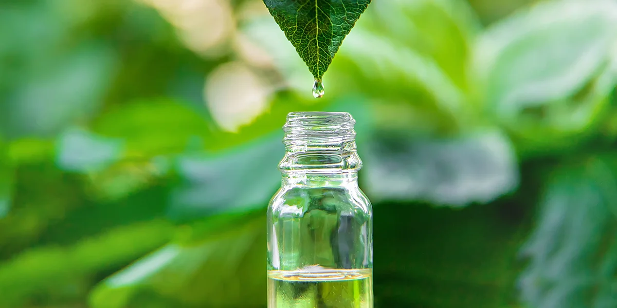 A droplet from a green leaf falls into a small glass bottle containing organic oil, set against a lush green background.