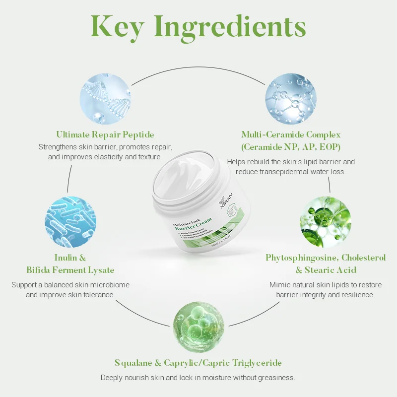 Private Label Moisture Lock Barrier Cream - XIran Skincare