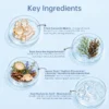 A graphic showing four skincare ingredients with descriptions: ceramide matrix, deep-sea algae extracts, botanical root blend, and hyaluronic acid with niacinamide.