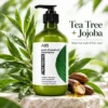 Green bottle of anti-dandruff shampoo with tea tree oil and jojoba, surrounded by natural leaves and jojoba seeds on a stone surface.